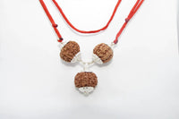 Rudraksha for Overseas Success and Travel | Brahmatells by Brahmatells