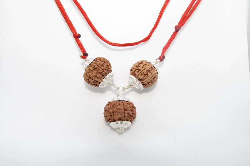 Rudraksha for Overseas Success and Travel | Brahmatells by Brahmatells