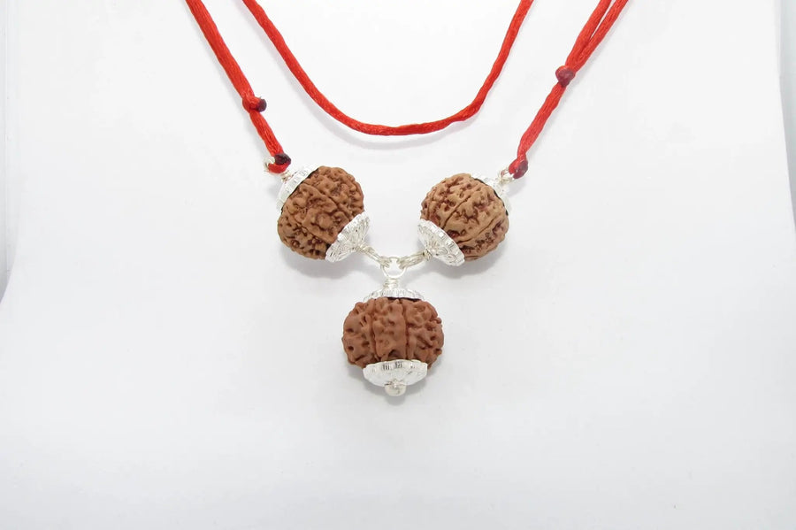 Rudraksha for Overseas Success and Travel | Brahmatells by Brahmatells