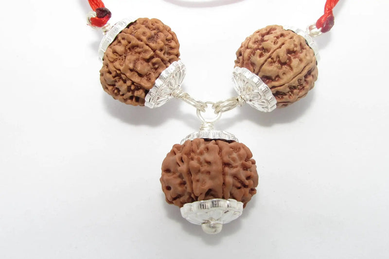 Rudraksha for Overseas Success and Travel | Brahmatells by Brahmatells