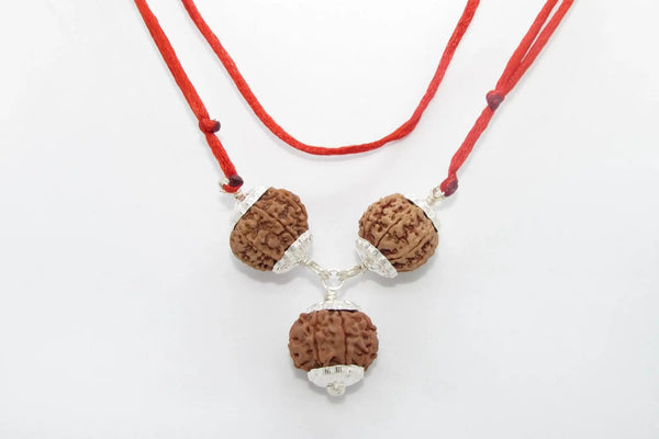 Rudraksha for Overseas Success and Travel | Brahmatells by Brahmatells