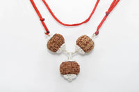 Rudraksha for Overseas Success and Travel | Brahmatells by Brahmatells