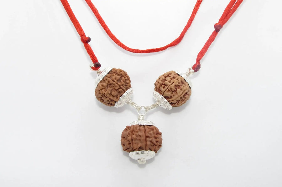 Rudraksha for Overseas Success and Travel | Brahmatells by Brahmatells