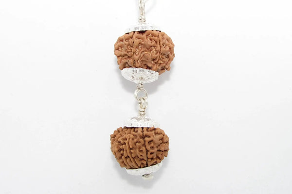 Rudraksha Harmony Beads for Wellness | Brahmatells by Brahmatells