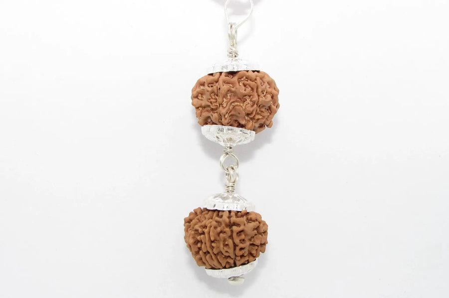 Rudraksha Harmony Beads for Wellness | Brahmatells by Brahmatells
