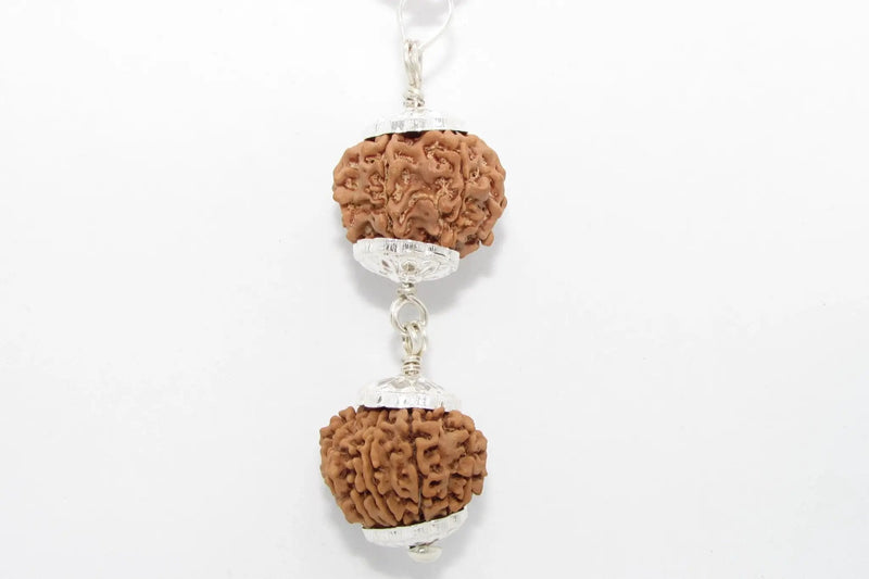 Rudraksha Harmony Beads for Wellness | Brahmatells by Brahmatells