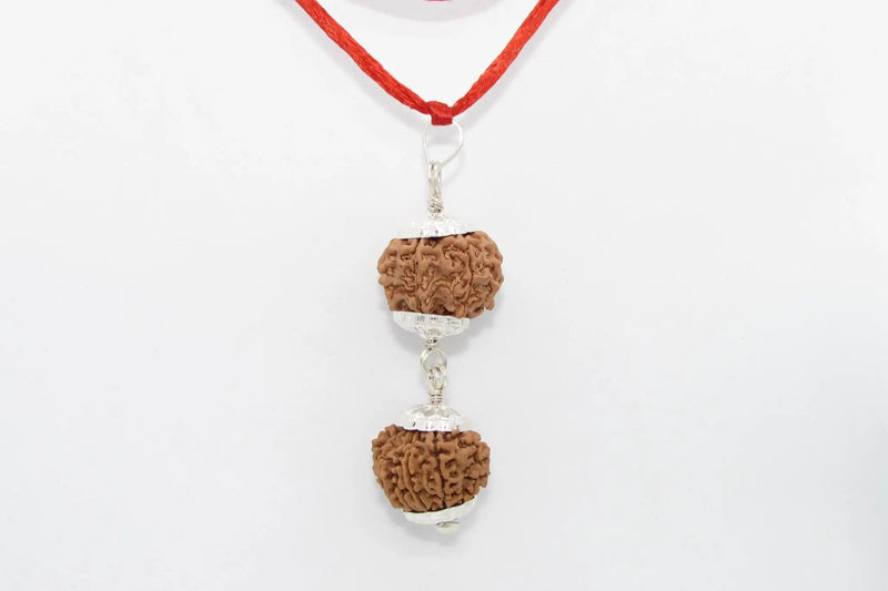 Rudraksha Harmony Beads for Wellness | Brahmatells by Brahmatells
