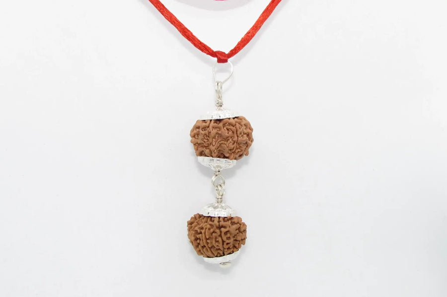 Rudraksha Harmony Beads for Wellness | Brahmatells by Brahmatells