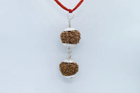 Rudraksha Harmony Beads for Wellness | Brahmatells by Brahmatells