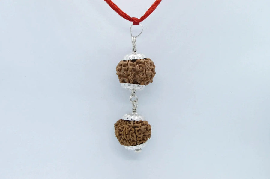 Rudraksha Harmony Beads for Wellness | Brahmatells by Brahmatells