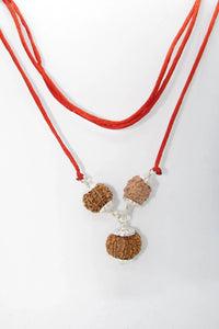 Rudraksha Pendant for Weight Loss - Balance and Harmony | Brahmatells by Brahmatells