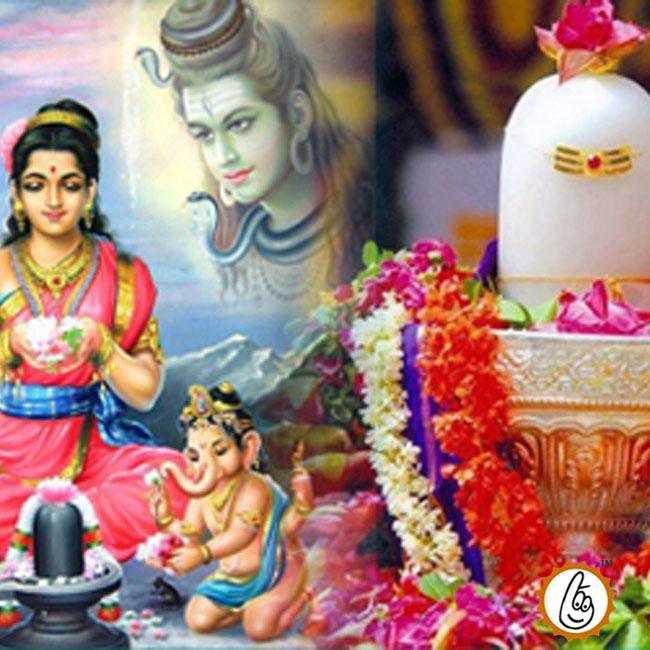Rudram Chamakam Yagna - Divine Blessings and Prosperity by Brahmatells