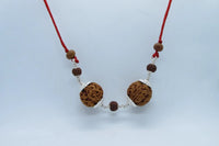 Sagittarius 5 Mukhi Rudraksha with Silver Caps | Nepal Beads by Brahmatells