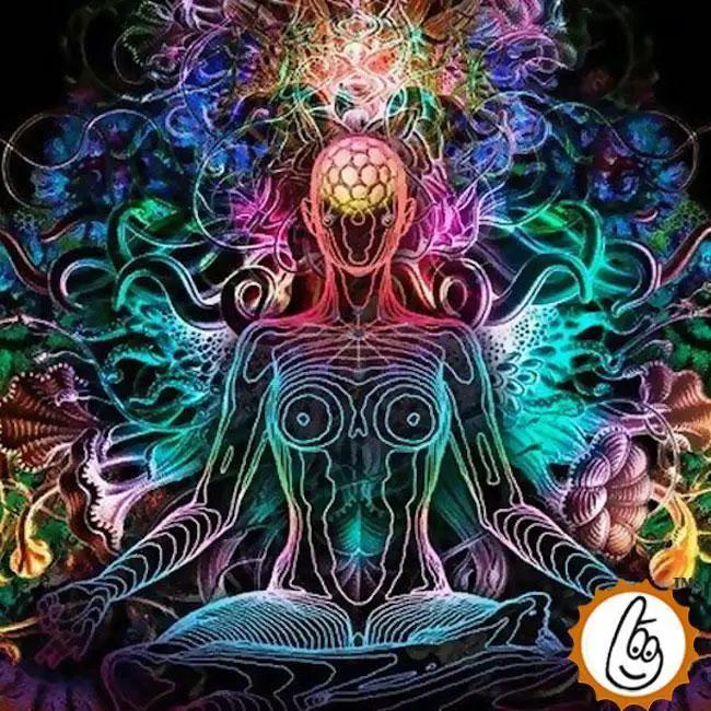 Scientific Vastu Scanning Services | Transform Your Space with Brahmatells by Brahmatells