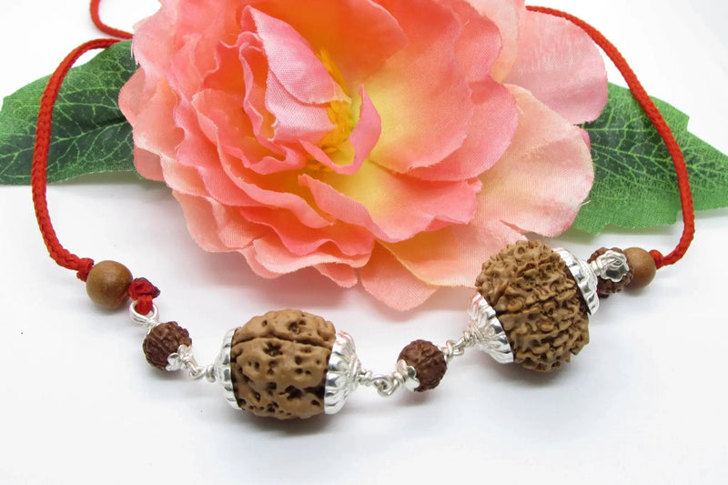Scorpio Exclusive Rudraksh Combo - 3 & 11 Mukhi Nepal Beads | Brahmatells by brahmatells
