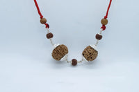 Scorpio Exclusive Rudraksh Combo - 3 & 11 Mukhi Nepal Beads | Brahmatells by brahmatells