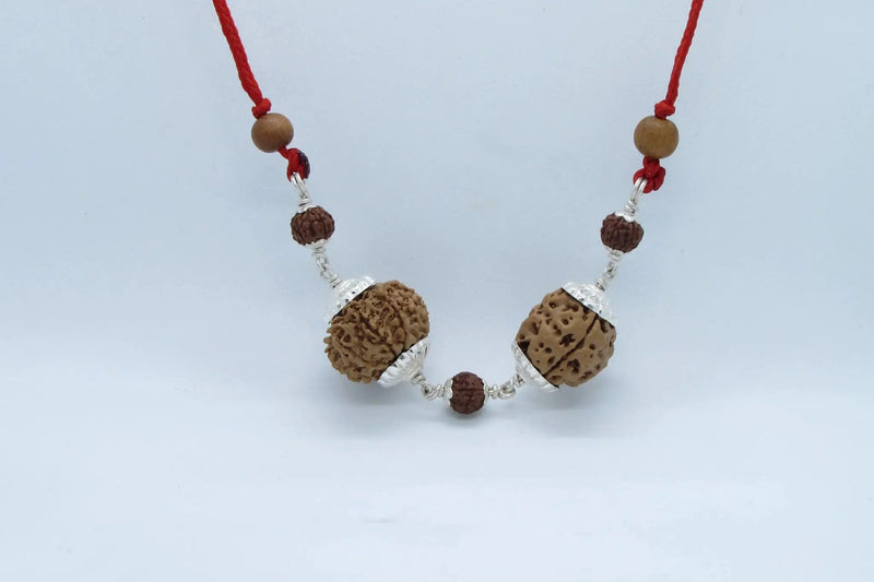 Scorpio Exclusive Rudraksh Combo - 3 & 11 Mukhi Nepal Beads | Brahmatells by brahmatells