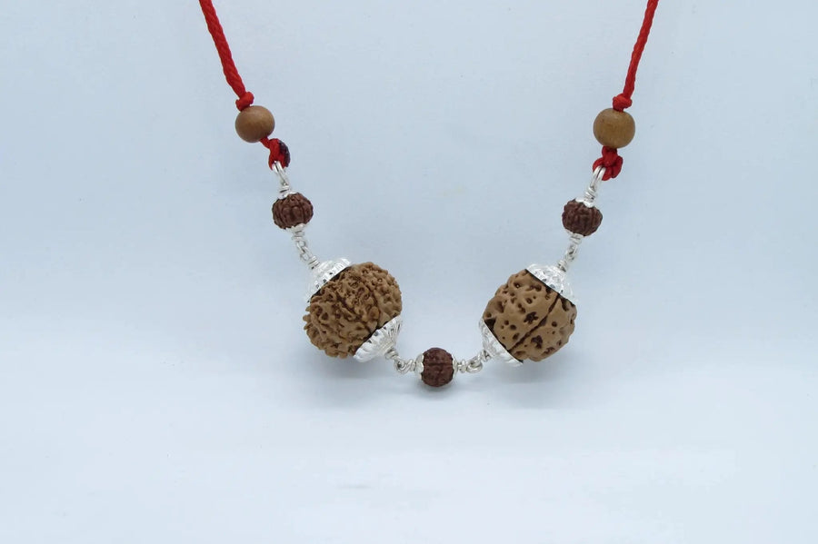 Scorpio Exclusive Rudraksh Combo - 3 & 11 Mukhi Nepal Beads | Brahmatells by brahmatells