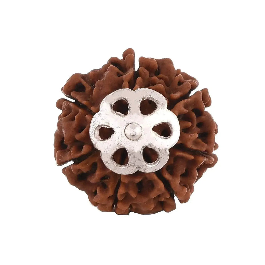 Seven Mukhi Rudraksha Silver Pendant - Unlock Prosperity & Health | Brahmatells by Brahmatells