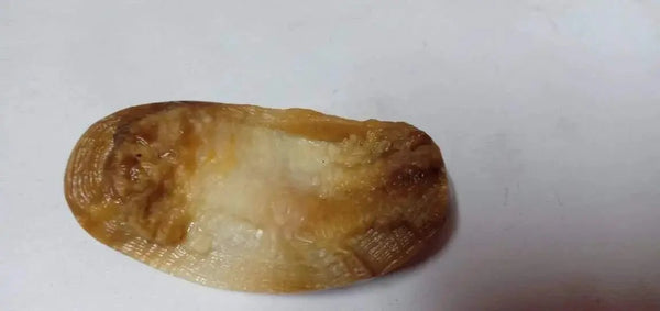 Shukra Mani Stone by Brahmatells