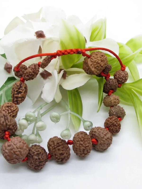 Siddha 1-14 Mukhi Java Rudraksha Bracelet - Ultimate Spiritual Accessory | Brahmatells by Brahmatells