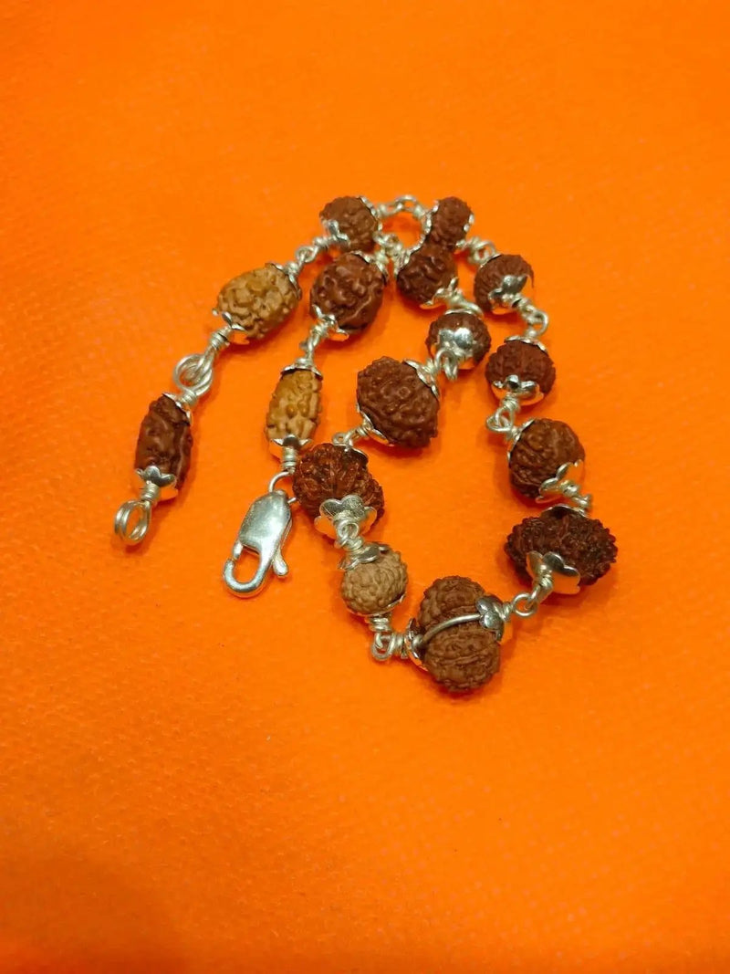 Siddha 1-14 Mukhi Java Rudraksha Bracelet - Ultimate Spiritual Accessory | Brahmatells by Brahmatells