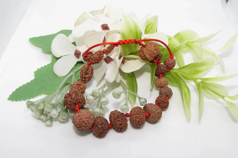 Siddha 1-14 Mukhi Java Rudraksha Bracelet - Ultimate Spiritual Accessory | Brahmatells by Brahmatells