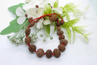 Siddha 1-14 Mukhi Java Rudraksha Bracelet - Ultimate Spiritual Accessory | Brahmatells by Brahmatells