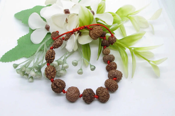 Siddha 1-14 Mukhi Java Rudraksha Bracelet - Ultimate Spiritual Accessory | Brahmatells by Brahmatells