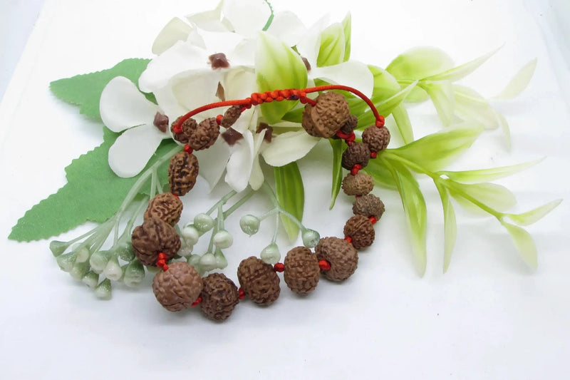 Siddha 1-14 Mukhi Java Rudraksha Bracelet - Ultimate Spiritual Accessory | Brahmatells by Brahmatells