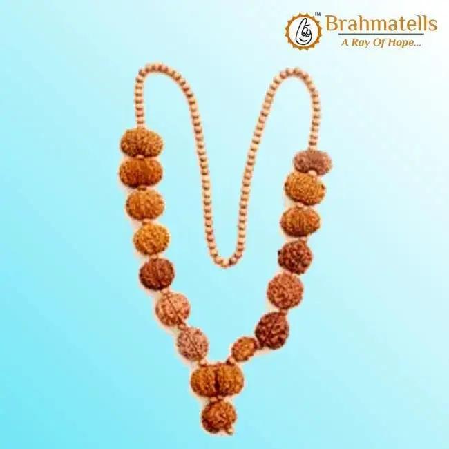 Siddha Mala with 1-14 Mukhi, Ganesh & Gaurishankar Rudraksha - Unique Vedic Accessory | Brahmatells by Brahmatells