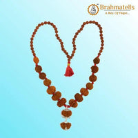Siddha Mala with 1-14 Mukhi, Ganesh & Gaurishankar Rudraksha - Unique Vedic Accessory | Brahmatells by Brahmatells