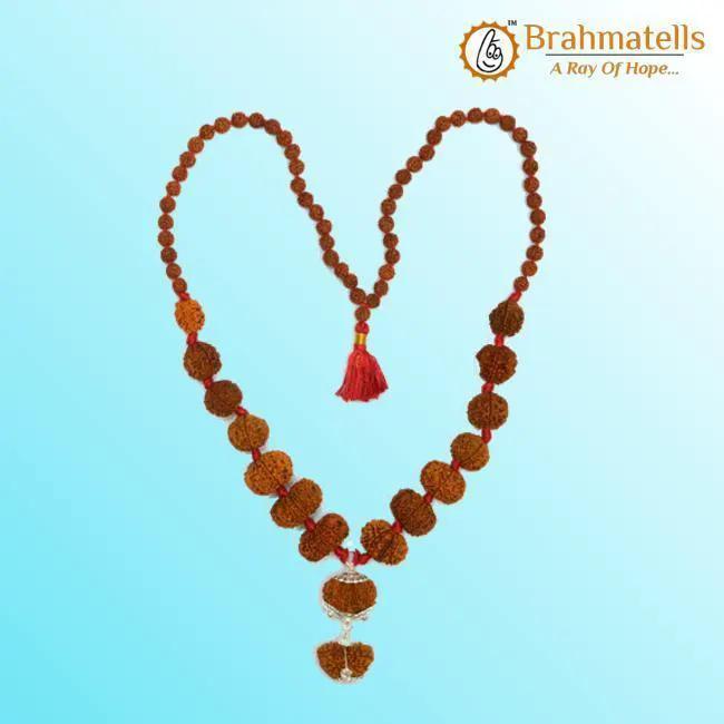 Siddha Mala with 1-14 Mukhi, Ganesh & Gaurishankar Rudraksha - Unique Vedic Accessory | Brahmatells by Brahmatells