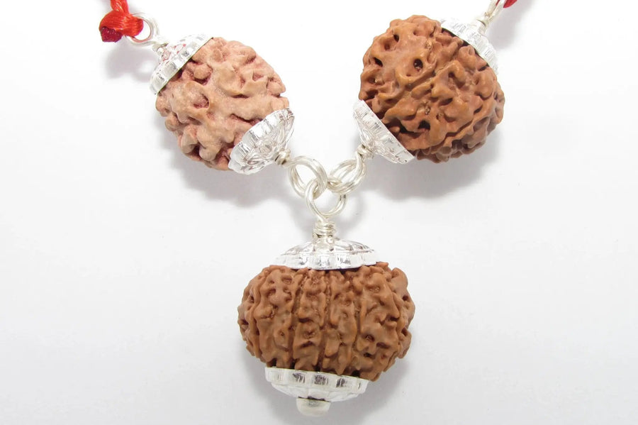 Sports Players' Rudraksha Pendant - Focus & Strength | Brahmatells by Brahmatells