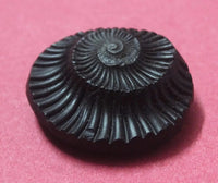 Sudarshan Shaligram Nepal Gandaki River Chakra by Brahmatells
