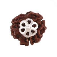 Three Mukhi Rudraksha Pendant - Unleash Lord Agni's Energy | Brahmatells by Brahmatells