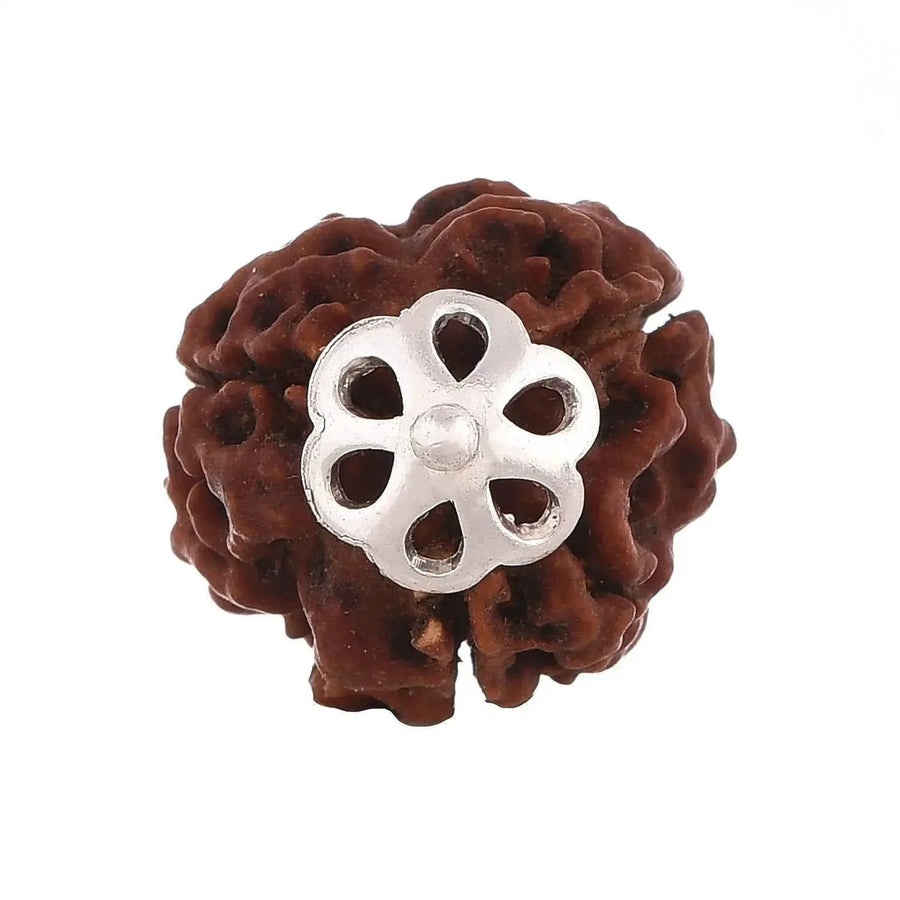 Three Mukhi Rudraksha Pendant - Unleash Lord Agni's Energy | Brahmatells by Brahmatells