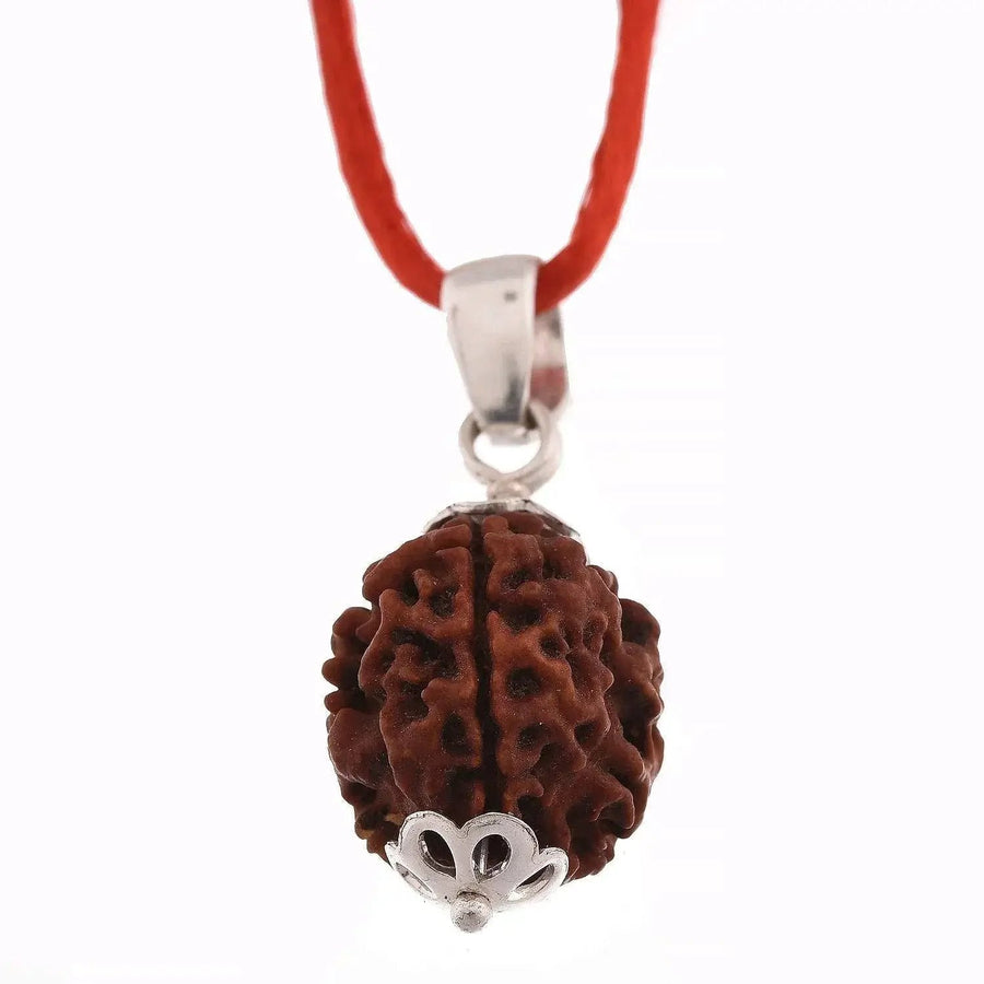 Three Mukhi Rudraksha Pendant - Unleash Lord Agni's Energy | Brahmatells by Brahmatells