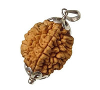 Two Mukhi Rudraksha Silver Pendant - Uniting Dual Energies | Brahmatells by Brahmatells
