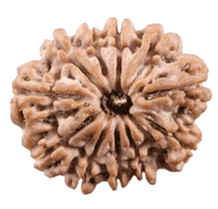 Unlock Divine Power: 11 Mukhi Rudraksha Pendant | Brahmatells by Brahmatells