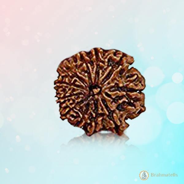 Unlock Divine Power: 11 Mukhi Rudraksha Pendant | Brahmatells by Brahmatells