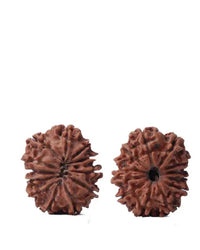 Unlock the Power of 11 Mukhi Rudraksha - Spiritual Mastery with Brahmatells by Brahmatells