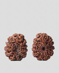 Unlock the Power of 11 Mukhi Rudraksha - Spiritual Mastery with Brahmatells by Brahmatells