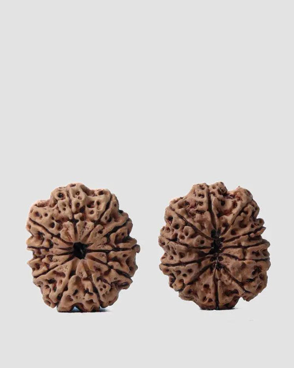 Unlock the Power of 11 Mukhi Rudraksha - Spiritual Mastery with Brahmatells by Brahmatells