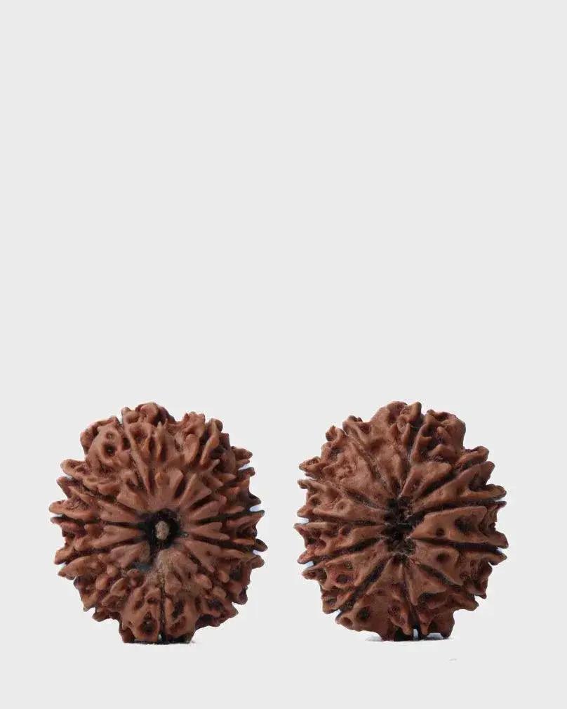 Unlock the Power of 11 Mukhi Rudraksha - Spiritual Mastery with Brahmatells by Brahmatells