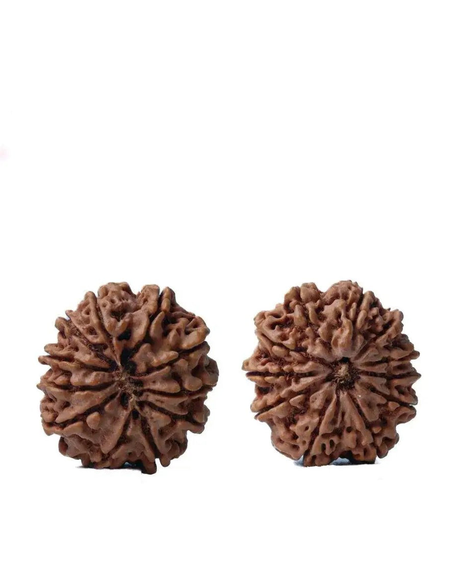 Unlock the Power of 11 Mukhi Rudraksha - Spiritual Mastery with Brahmatells by Brahmatells