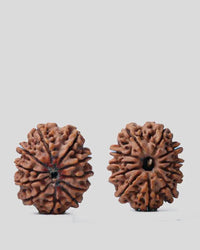 Unlock the Power of 11 Mukhi Rudraksha - Spiritual Mastery with Brahmatells by Brahmatells