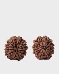 Unlock the Power of 11 Mukhi Rudraksha - Spiritual Mastery with Brahmatells by Brahmatells