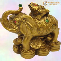 Vastu Feng Shui Money Frog On Elephant- Polyresin by Brahmatells