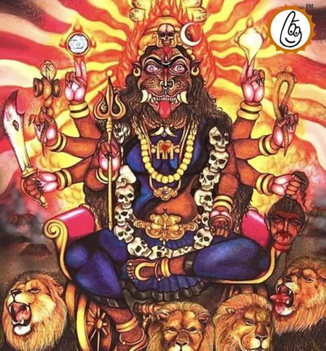 Vijay Prapti Yajna by Brahmatells